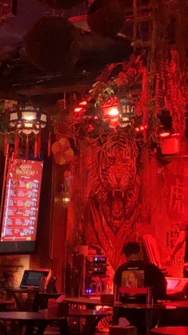Tiger🐯