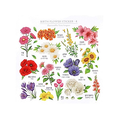 PET透明塑料貼無刀模裁割線同款四大張入自行裁剪形狀