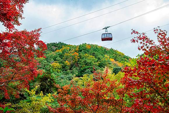 神戶11大楓景 有馬溫泉 六甲山秘境森林 市街區3大私房賞楓路線大公開 Japan Walker Line Today
