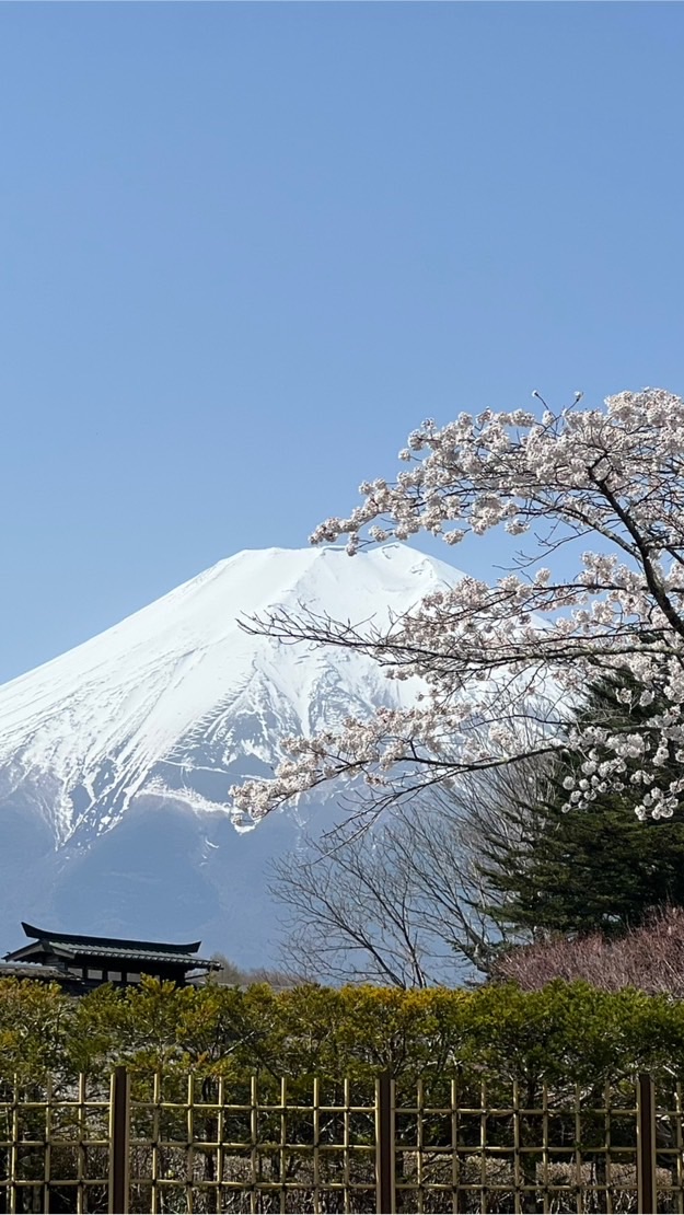 太陽城🇯🇵日本連線-代購網
