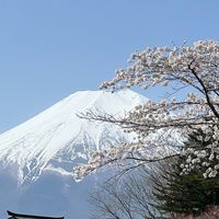 太陽城🇯🇵日本連線-代購網