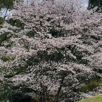 中央大学剣友会　　鹿児島支部