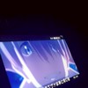 モンスターを捕まえるキャリー