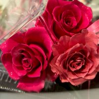 福岡近郊40代～シングル・バツイチ女子会🌸女性限定のお部屋🌼*･