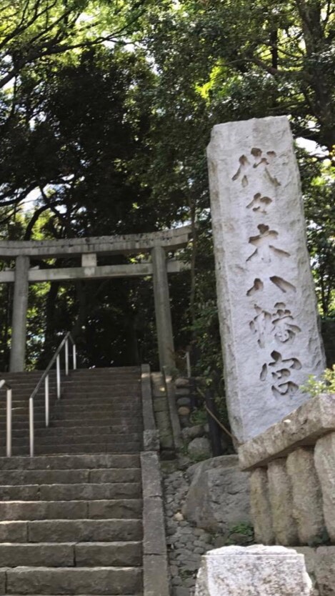 代々木八幡なんでも情報局