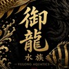御龍水族（中區交流區）
