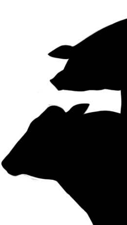 日本ICMJ2022 実行委員連絡用