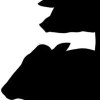 日本ICMJ2022 実行委員連絡用