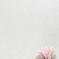 棒棒家族。好康活動多