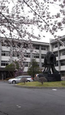 長野県諏訪清陵高等学校・附属中学校 卒業生現役生の部屋