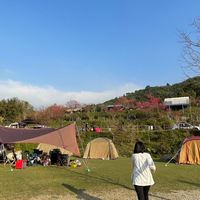 爆米花戶外露營好物