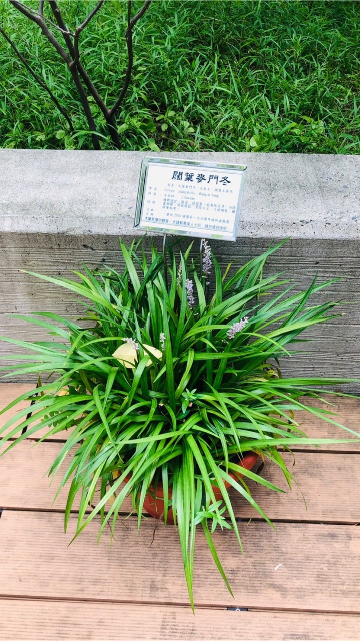 永遠凍齡｜養生、美容、健身