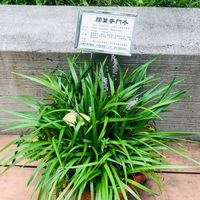永遠凍齡｜養生、美容、健身