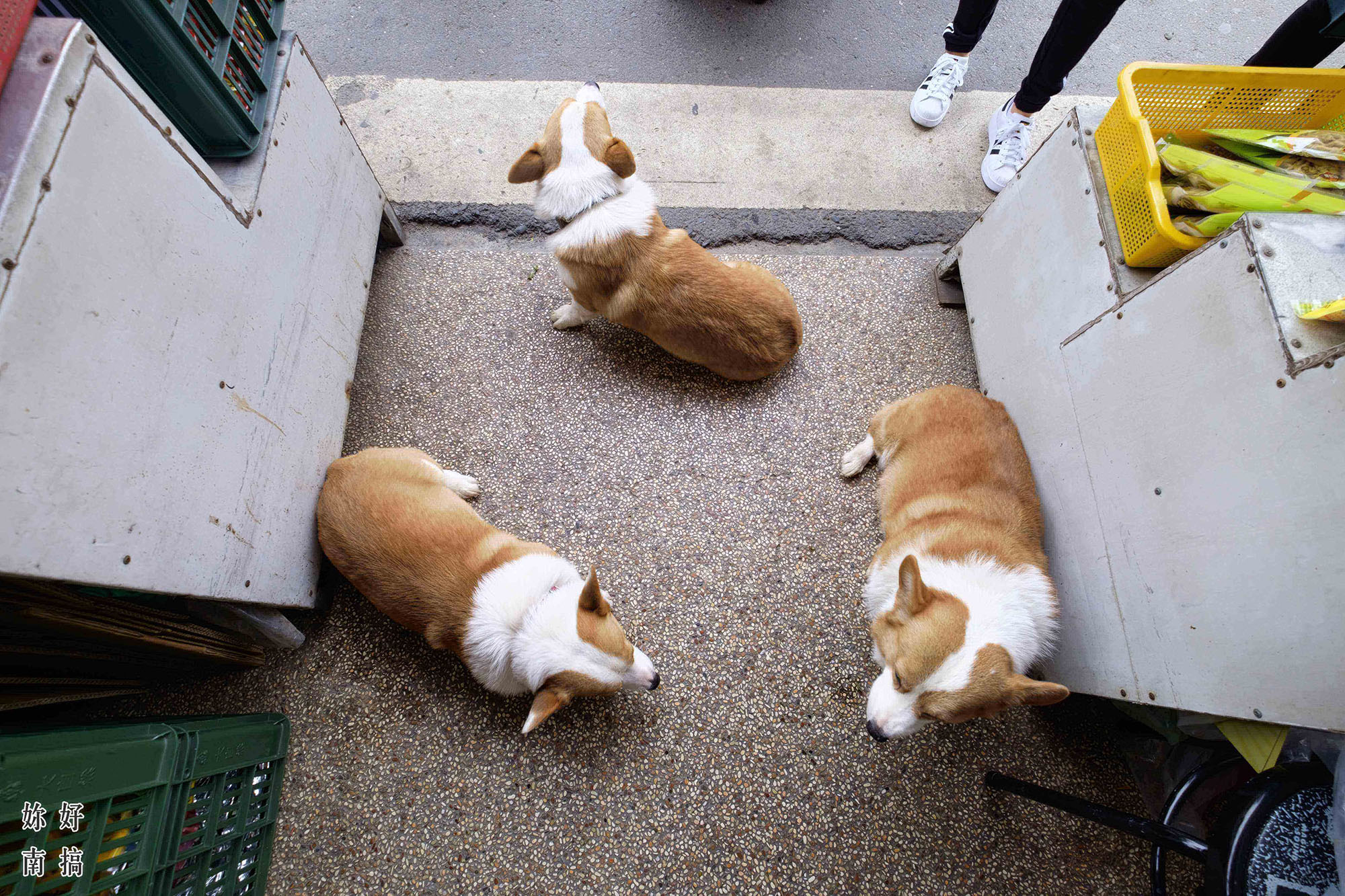 上發條俱樂部-05-妳好南搞