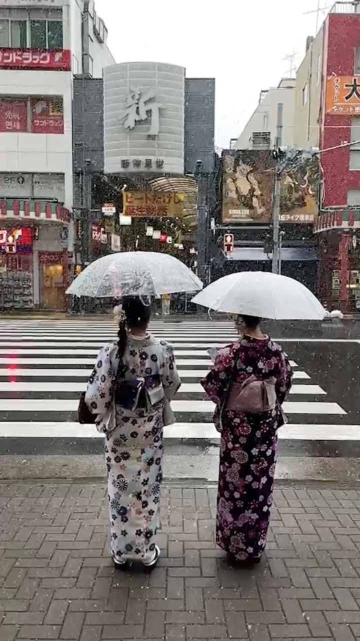 3.sister瘋批發