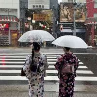 3.sister瘋批發