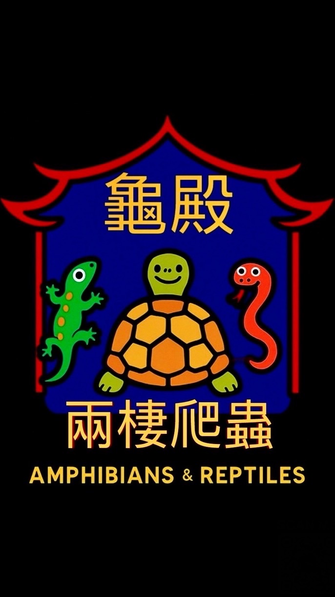龜殿兩棲爬蟲