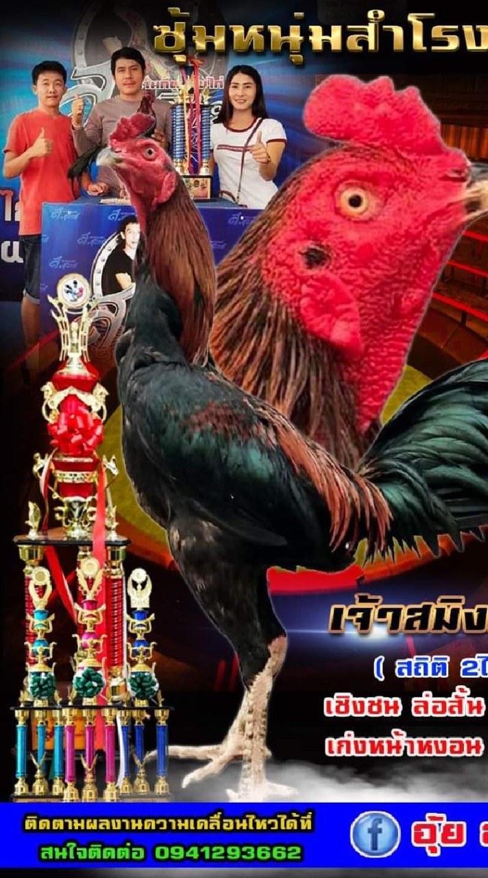 คนรัก (เหล่าหนุ่มสำโรงทาบ)🐓🐓❤️🙏
