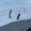 適当にゆるくやってます^_^