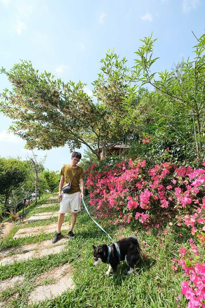 清豐濤月菜單, 嘉義仁義潭, 仁義潭景觀餐廳, 清豐濤月火鍋, 番路鄉景點, 嘉義景點餐廳, 寵物友善餐廳, 嘉義泡腳