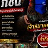 ซุ้มเพชรเมืองย่า อ.ประทาย