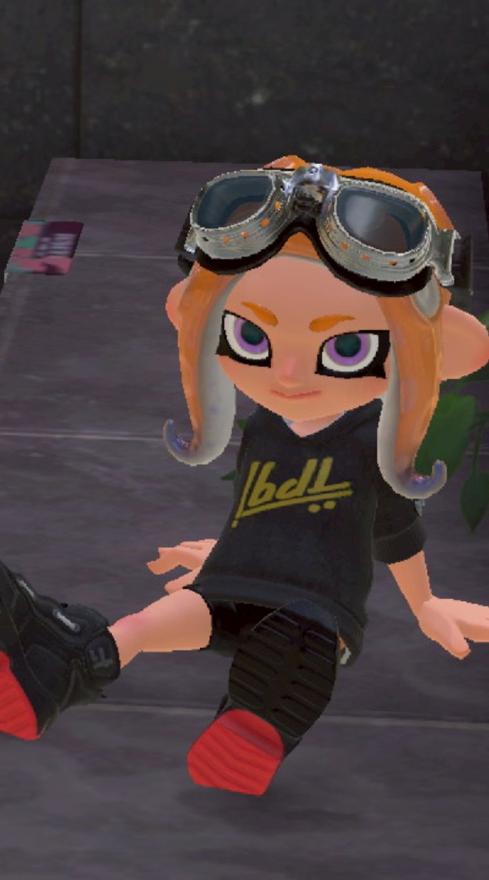 スプラトゥーン3バグ( *´꒳`* )