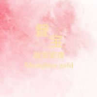 聲寶銀樓：嘉義市（忠孝路與光彩街交口）