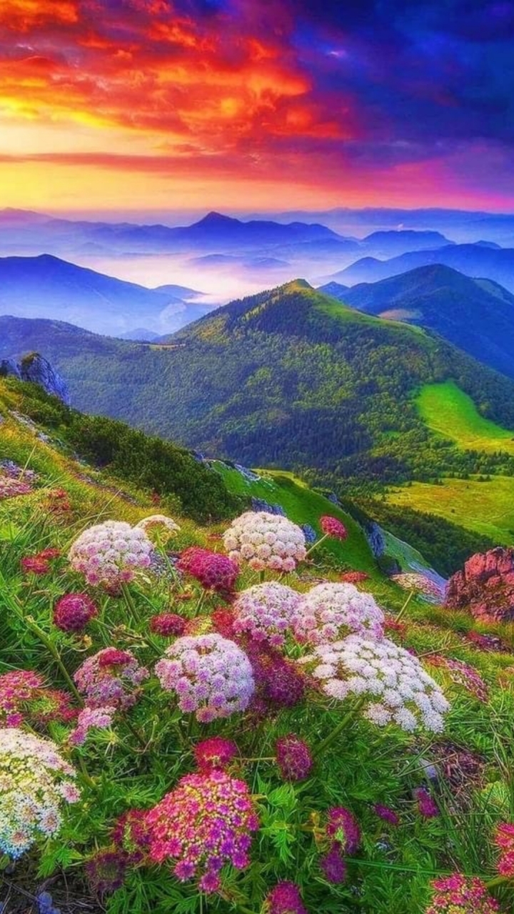 🌈真實🆓奇蹟課程操練