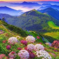 🌈真實🆓奇蹟課程操練