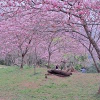北中南集合聊天地備用群🌻🌺
