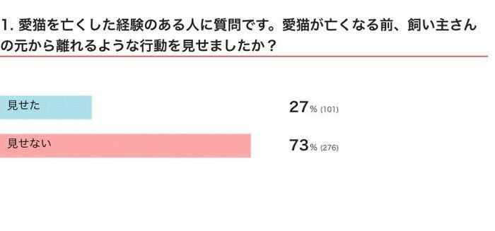 飼い主の前から姿を消す 猫が死ぬ前に見せる行動の変化