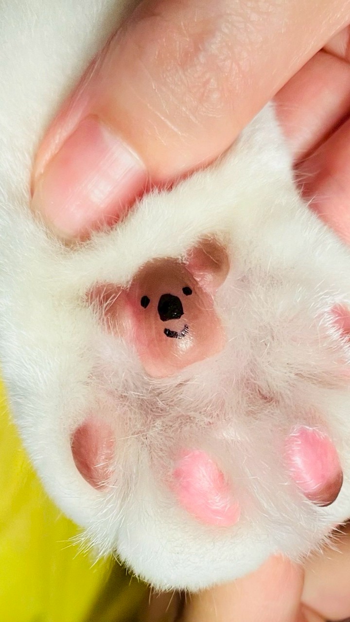 ゆっことにぃこ