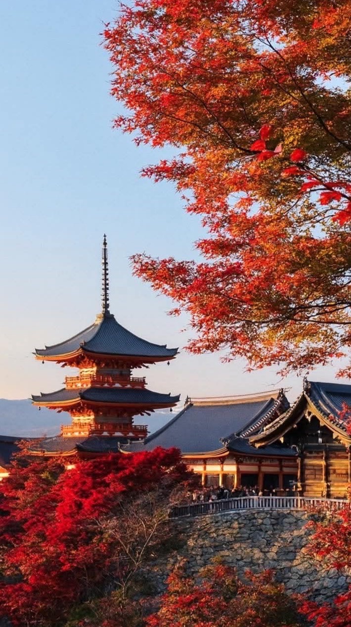 ✈️【6/22-6/27 大阪/京都 快閃連線代購】🇯🇵