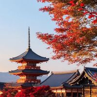 ✈️【6/22-6/27 大阪/京都 快閃連線代購】🇯🇵