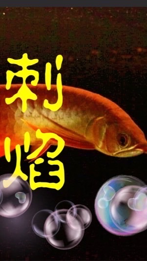 刺焰水族貿易（進出口）