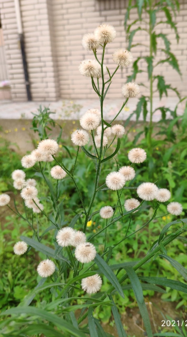 我的哲學筆記