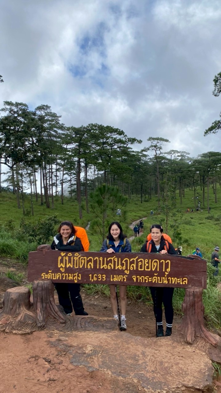 ครัวหลงป่า