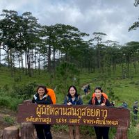 ครัวหลงป่า