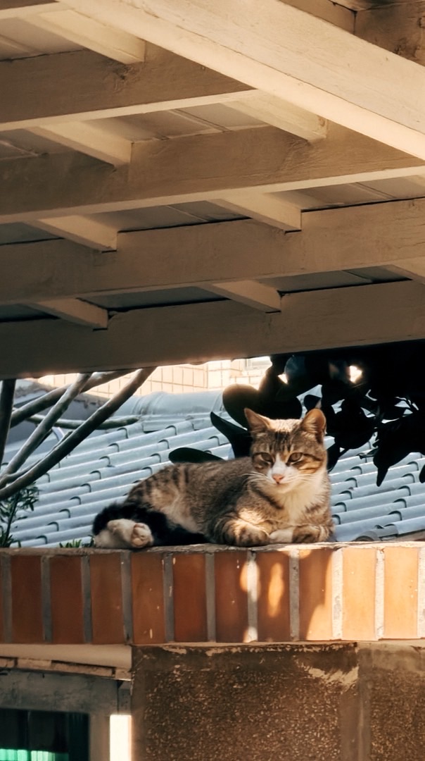 ｜竹南｜頭份｜質感選品團購·手作