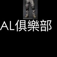 AL俱樂部（三角洲代儲+三角洲陪玩、暗區突圍陪玩、代打）