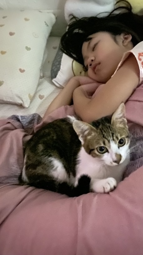 捲妞粉絲團？？？