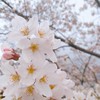 高3だけの雑談・恋バナ
