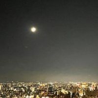 小桃團團Go 桃園可自取