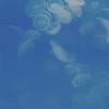 この声は届かないのね。《　全也緩声ハント　》