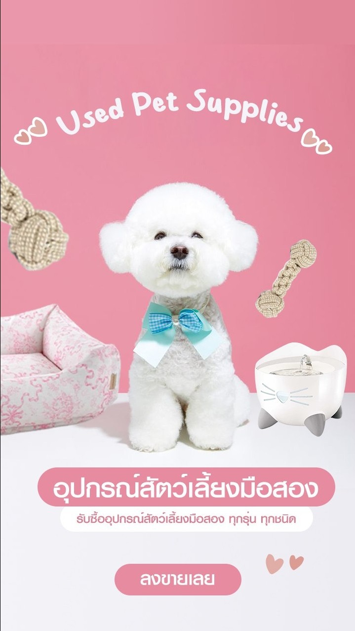 Pet Accessories Marketplace