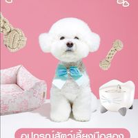 Pet Accessories Marketplace