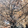 【理学療法士】カラダの相談室