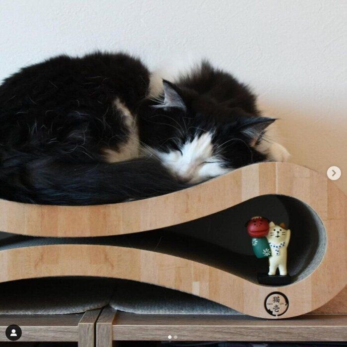 ストーブを使う猫飼いさん必見 お手製ストーブガード