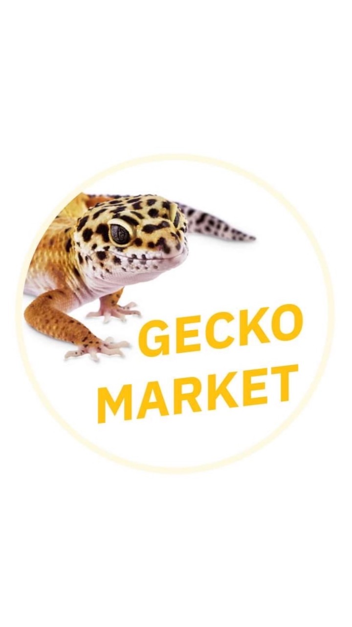 GECKO MARKET - ตลาดซื้อขายตุ๊กแก