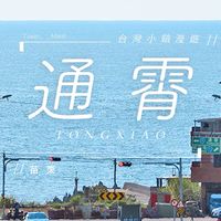 通霄實話大聲說